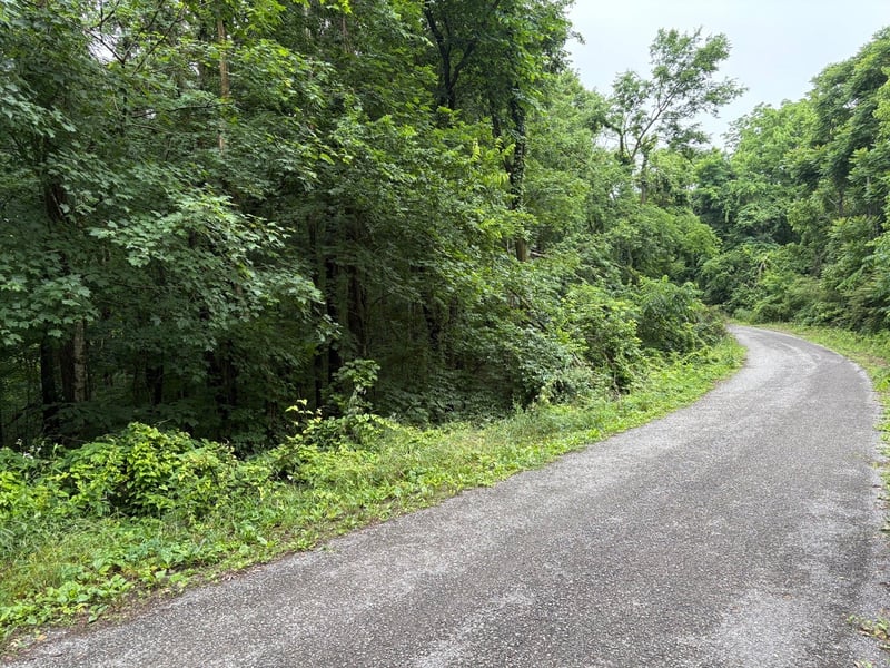 Ivy Hollow Rd, Mount Pleasant, TN 38474
