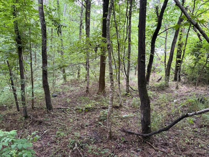 Ivy Hollow Rd, Mount Pleasant, TN 38474