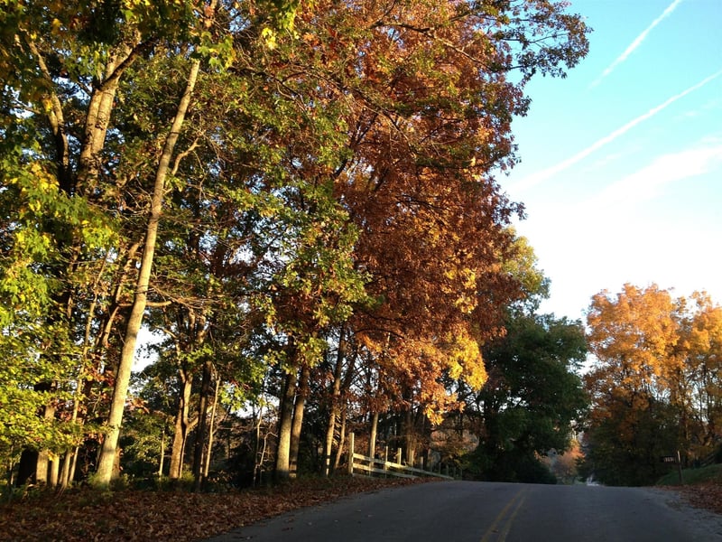 8285 Haley Rd, College Grove, TN 37046