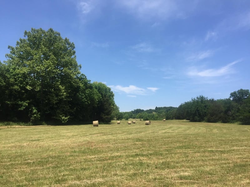 8285 Haley Rd, College Grove, TN 37046
