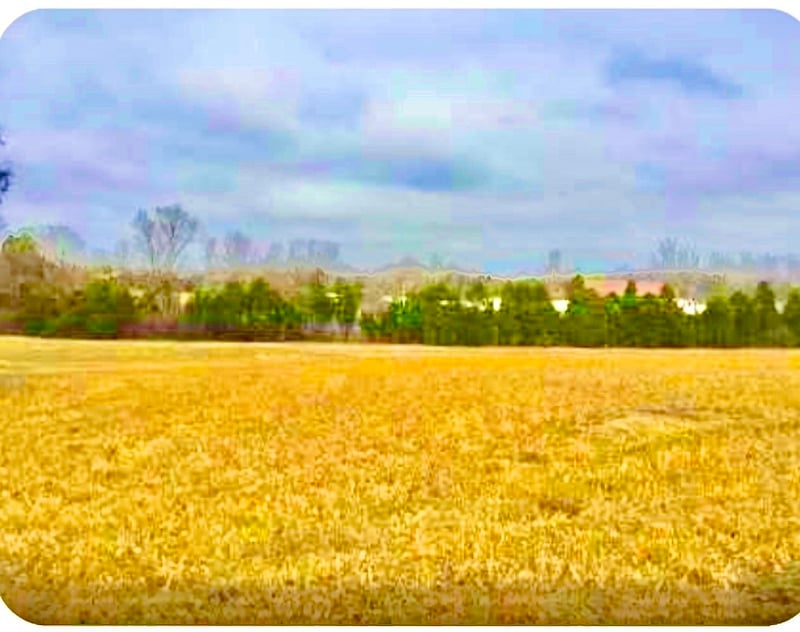 N Old Mt Juliet Rd, Mount Juliet, TN 37122