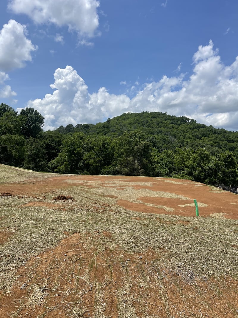 157 Berry Hunter Ln, Franklin, TN 37067