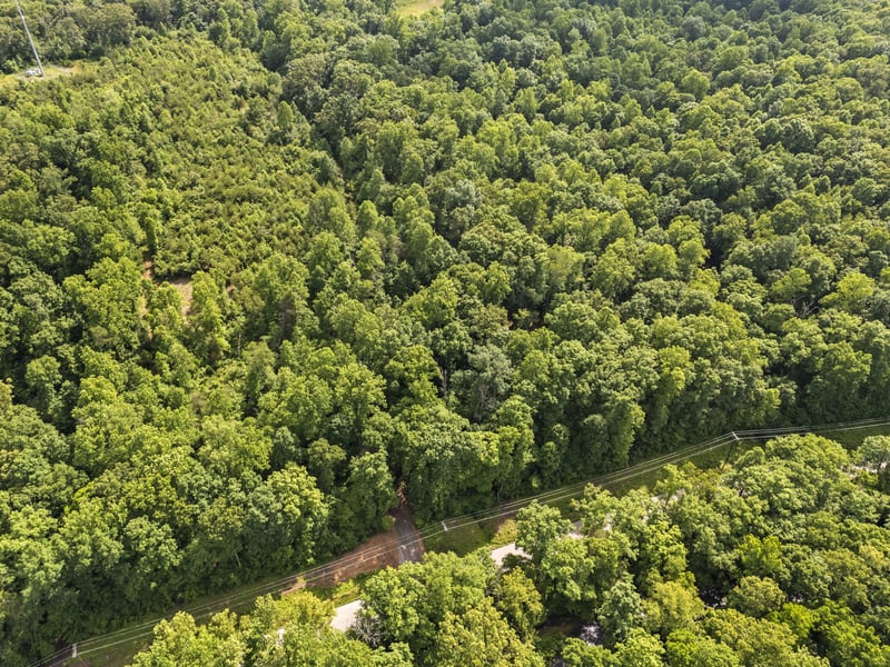 Crow Cut Rd Lot 1, Fairview, TN 37062