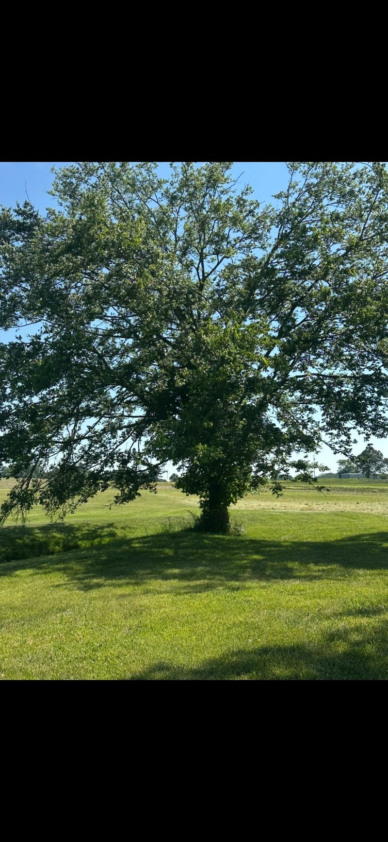 591 White Rd, Portland, TN 37148