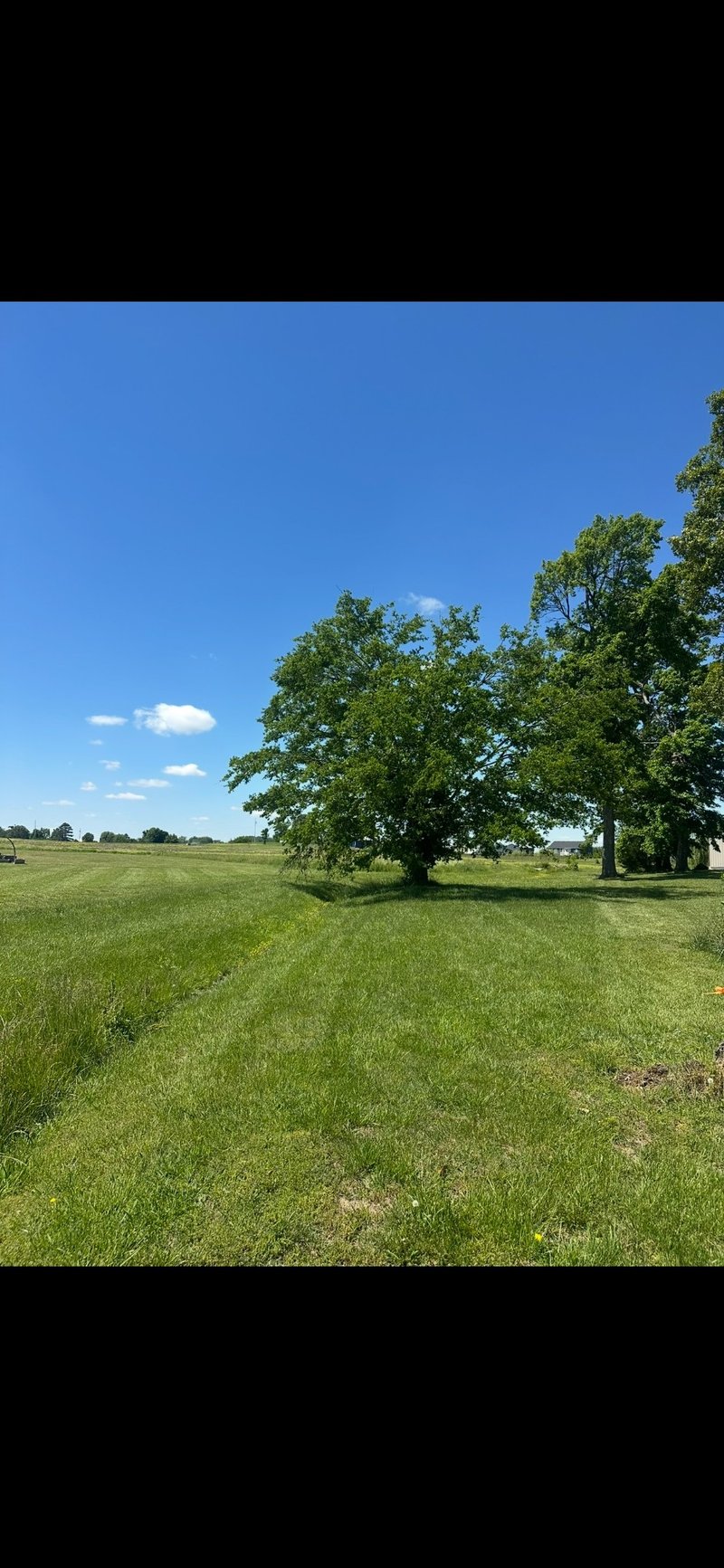 591 White Rd, Portland, TN 37148