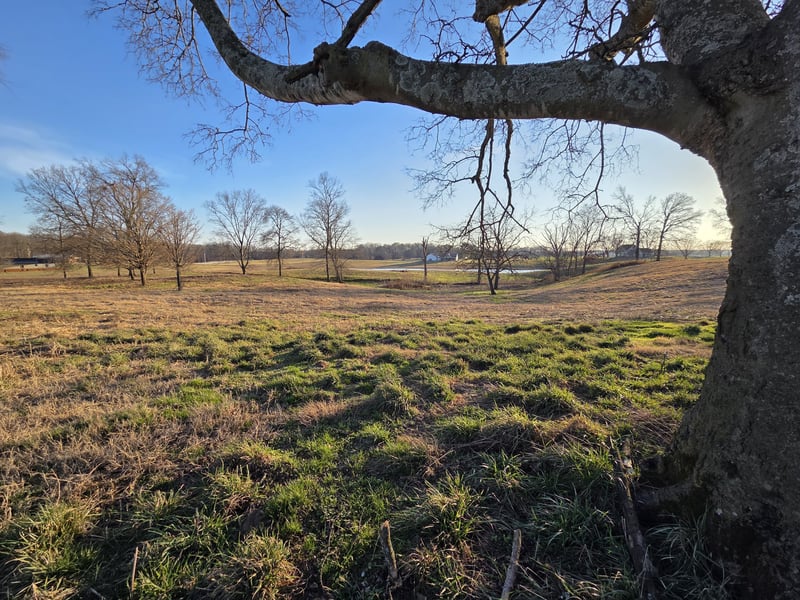 Homer Worsham, Springfield, TN 37172
