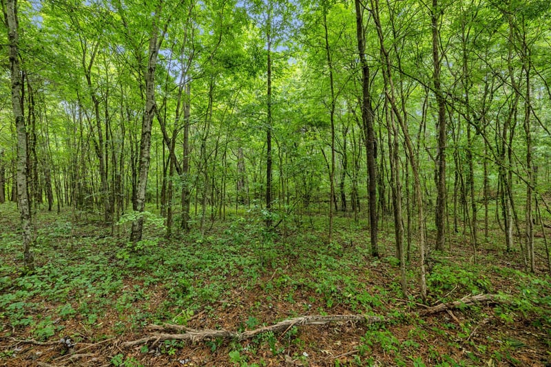 Eli Rd, Bon Aqua, TN 37025