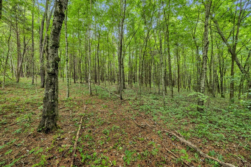 Eli Rd, Bon Aqua, TN 37025