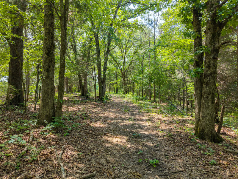 0 Eli Rd Lot 4, Bon Aqua, TN 37025