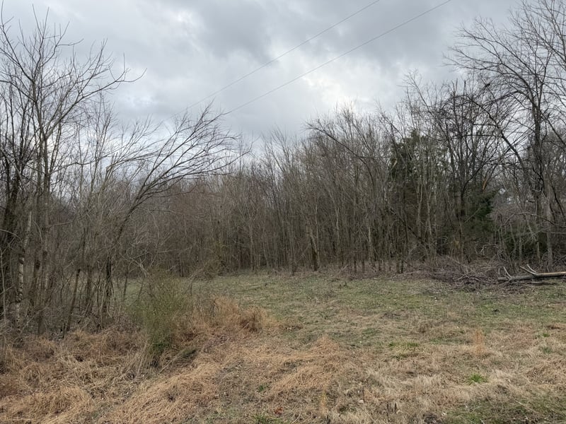 City Park Rd, Westmoreland, TN 37186
