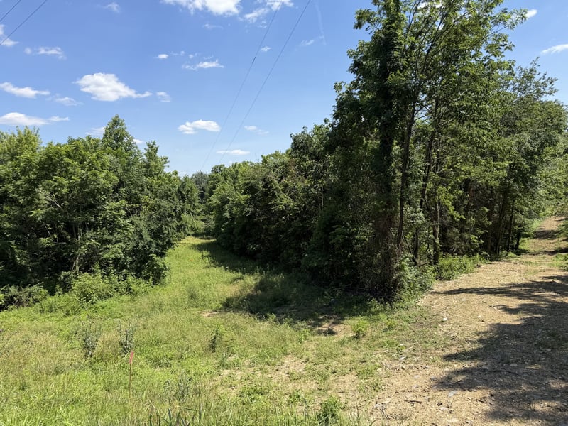 City Park Rd, Westmoreland, TN 37186