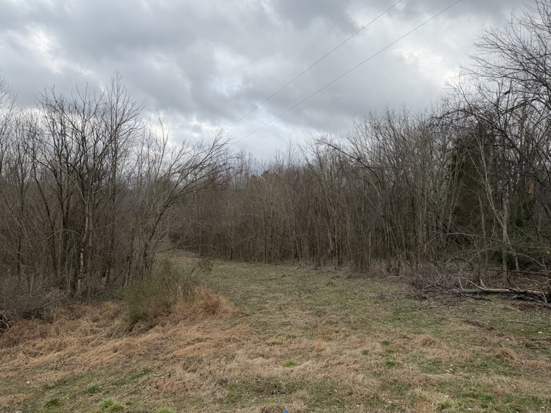 City Park Rd, Westmoreland, TN 37186