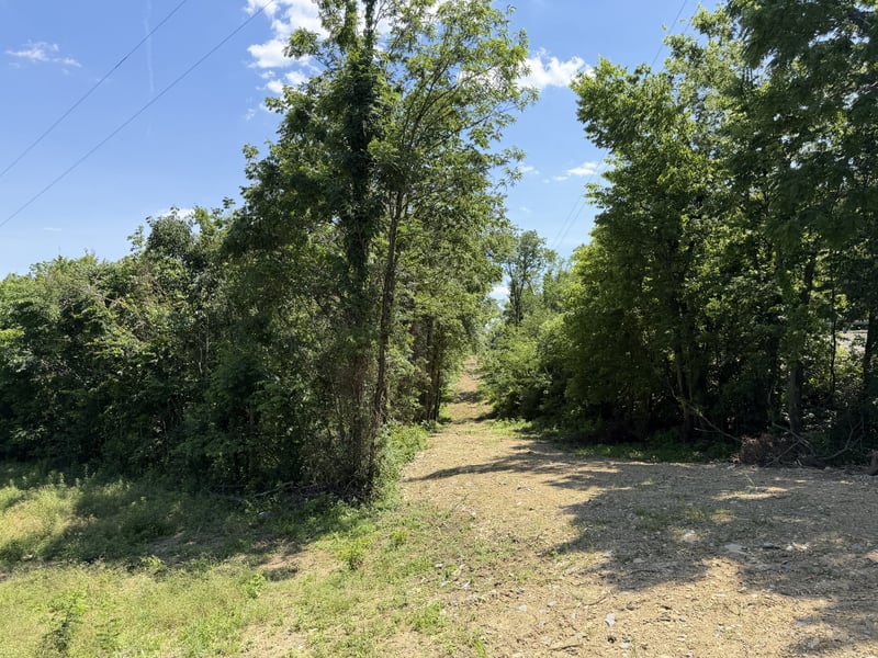 City Park Rd, Westmoreland, TN 37186