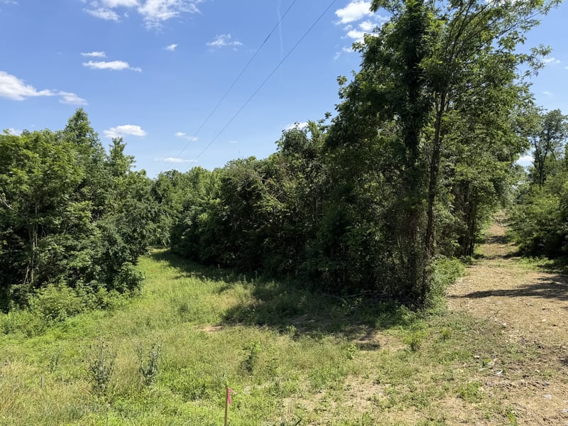 City Park Rd, Westmoreland, TN 37186