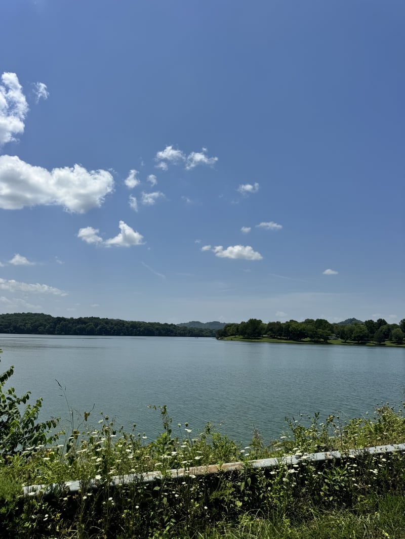 97 Mcclures Bend Ln, Carthage, TN 37030