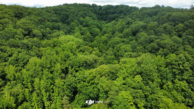 4998 Tranham Rd, Whites Creek, TN 37189