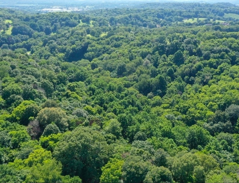 Mcdonald Loop, Dickson, TN 37055