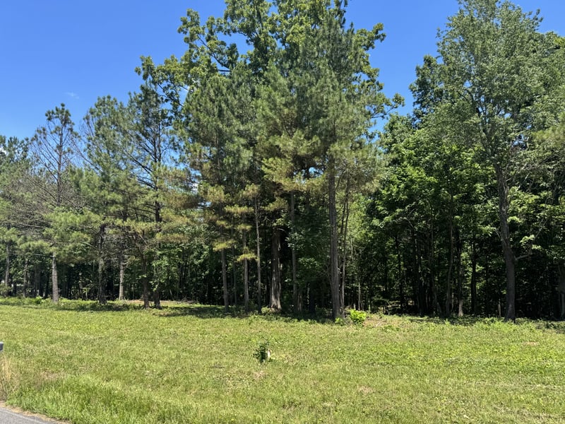 Nancy Shawl, Dickson, TN 37055