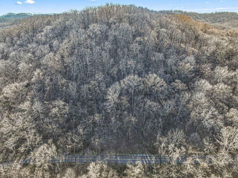 Dry Fork Rd, Whites Creek, TN 37189
