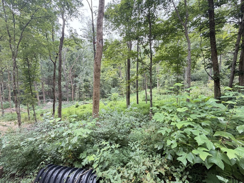 8411 Poplar Creek Rd, Nashville, TN 37221