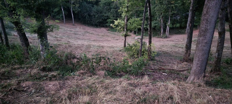 17 Alpine Dr, Columbia, TN 38401