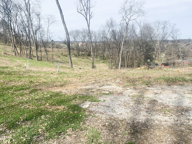 17 Alpine Dr, Columbia, TN 38401