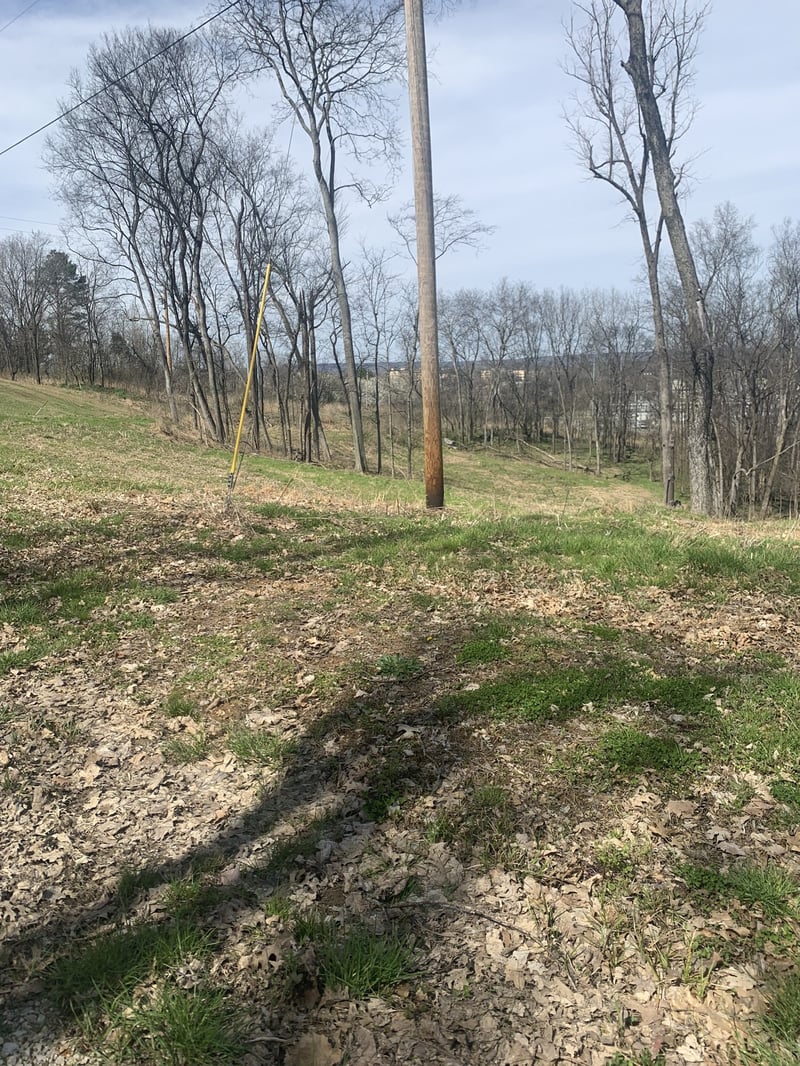 17 Alpine Dr, Columbia, TN 38401