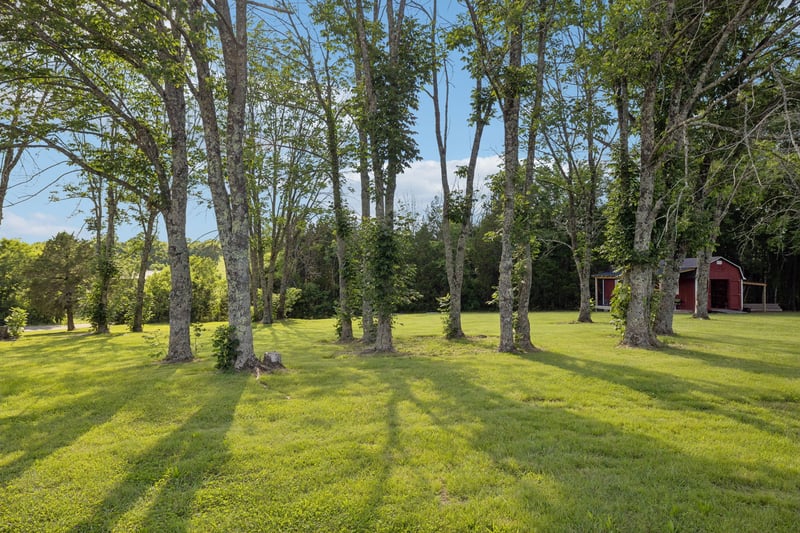45 Tracy Rd, Watertown, TN 37184