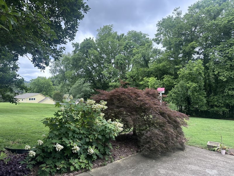 8390 Merrymount Dr, Nashville, TN 37221
