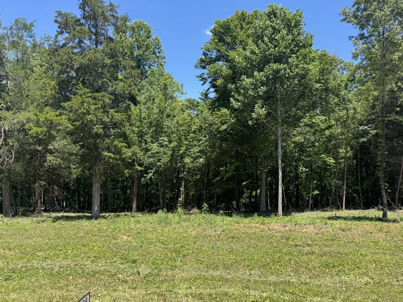 Nancy Shawl, Dickson, TN 37055