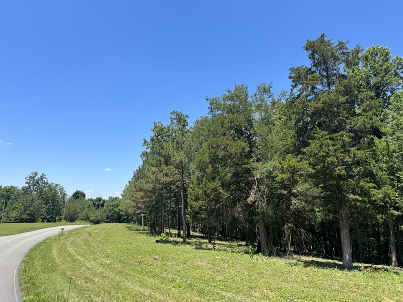 Nancy Shawl, Dickson, TN 37055
