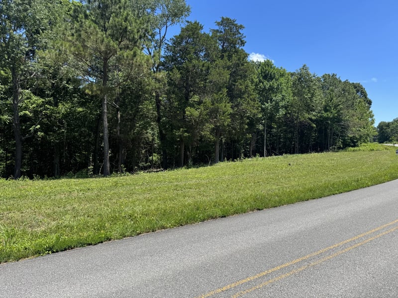 Nancy Shawl, Dickson, TN 37055