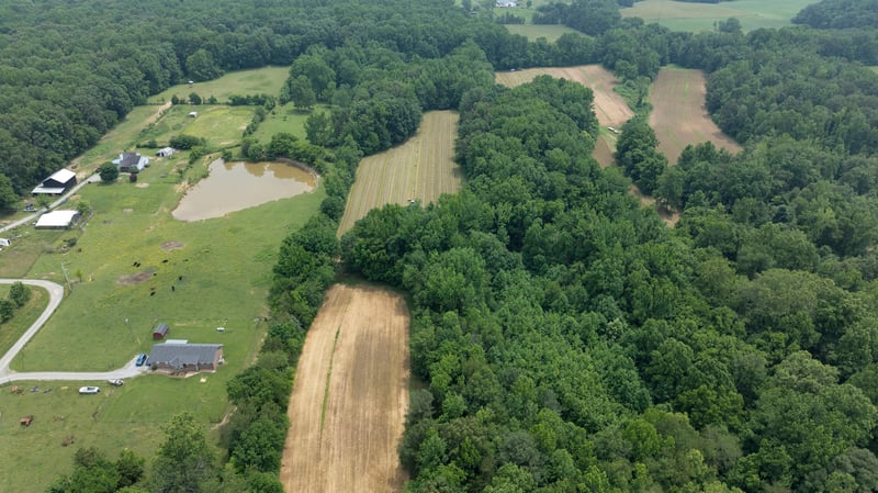 7855 Bethlehem Rd, Springfield, TN 37172