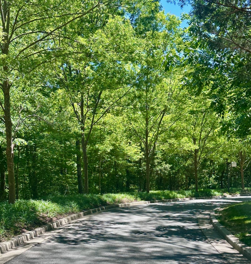 1011 Champion Hills Dr Lot 56, Kingston Springs, TN 37082