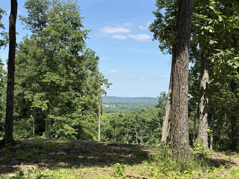 Joy , Mount Pleasant, TN 38474