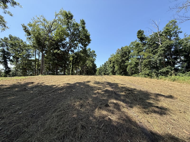 Joy Lot 1, Mount Pleasant, TN 38474