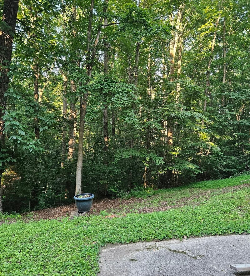 1040 Overlook Trl, Kingston Springs, TN 37082