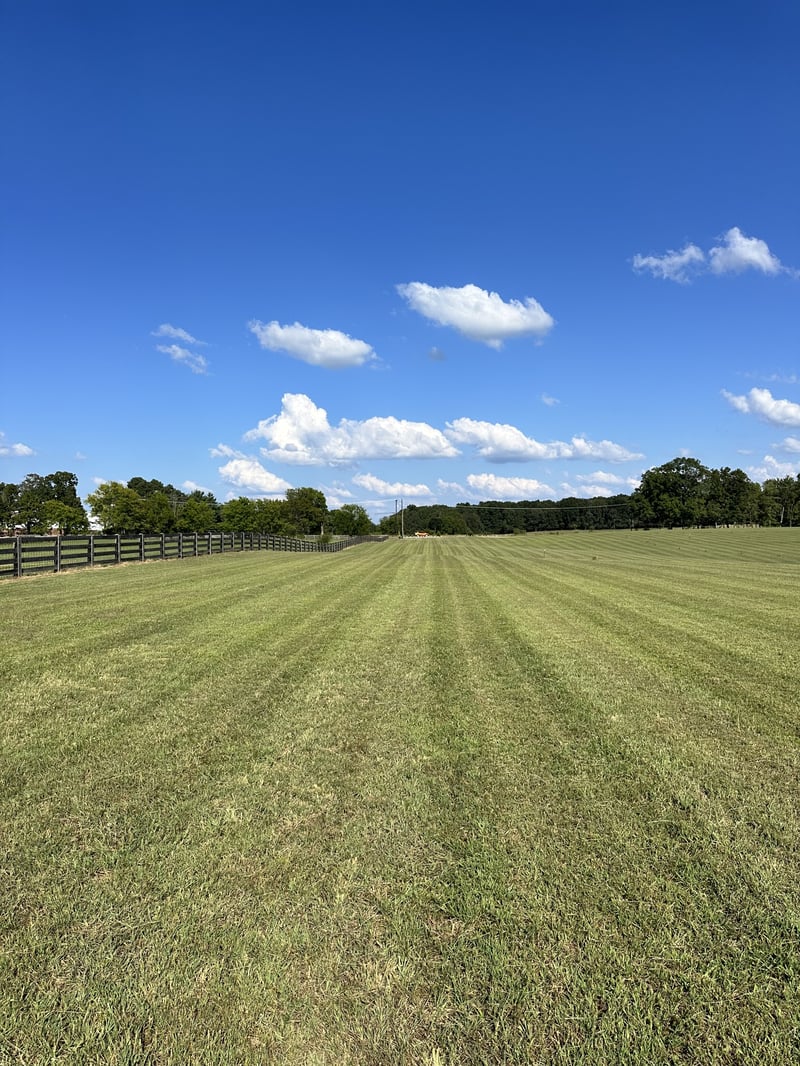 7509 Pinewood Rd Lot 1, Primm Springs, TN 38476