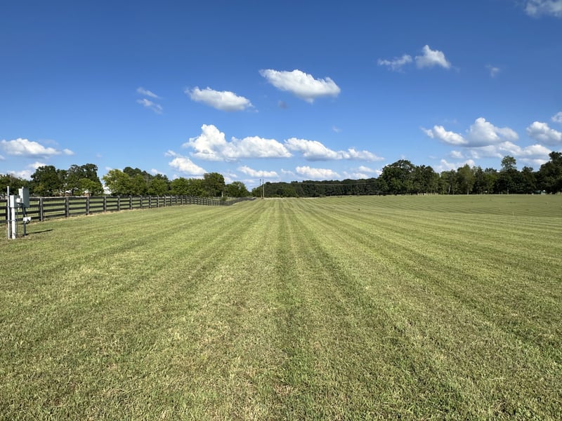 7509 Pinewood Rd Lot 1, Primm Springs, TN 38476