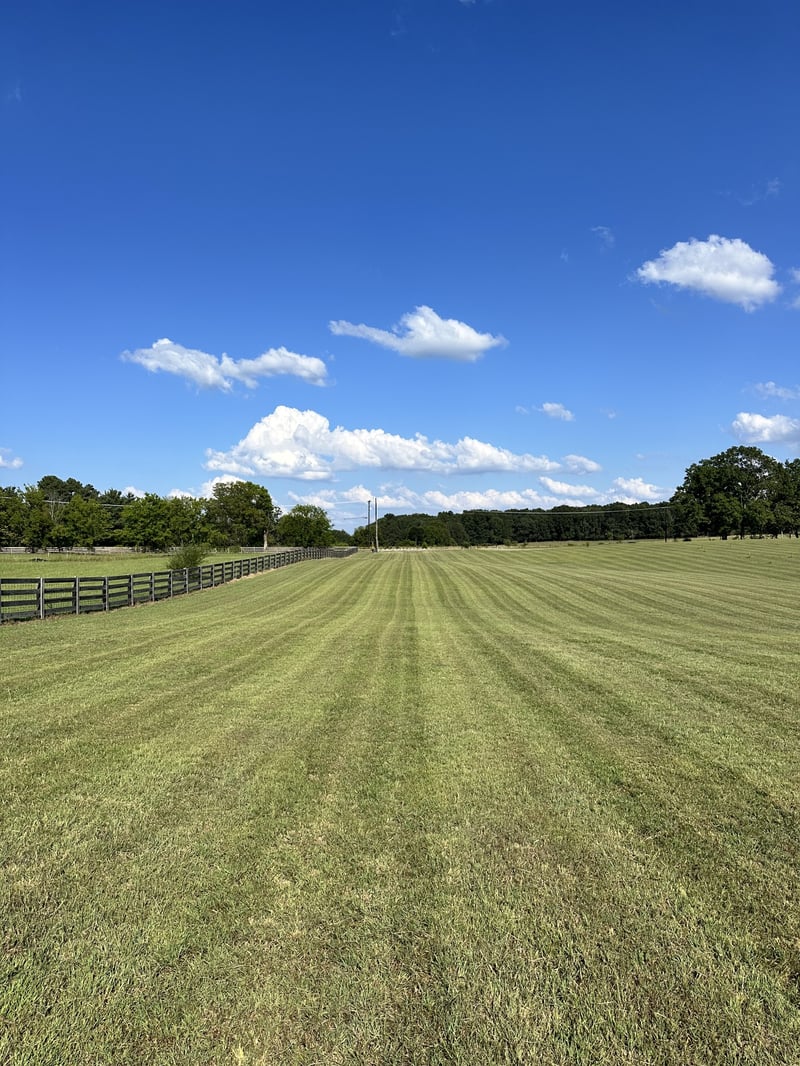 7509 Pinewood Rd Lot 1, Primm Springs, TN 38476
