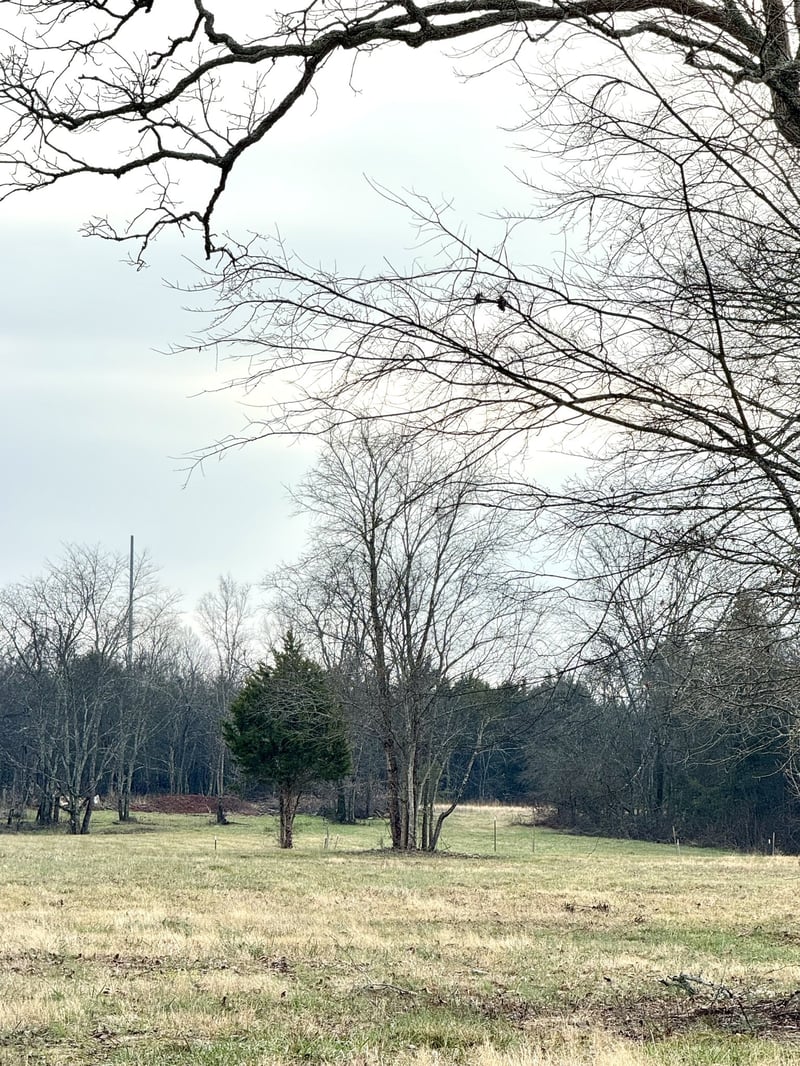 0 Vesta Rd Lot 11, Lebanon, TN 37090
