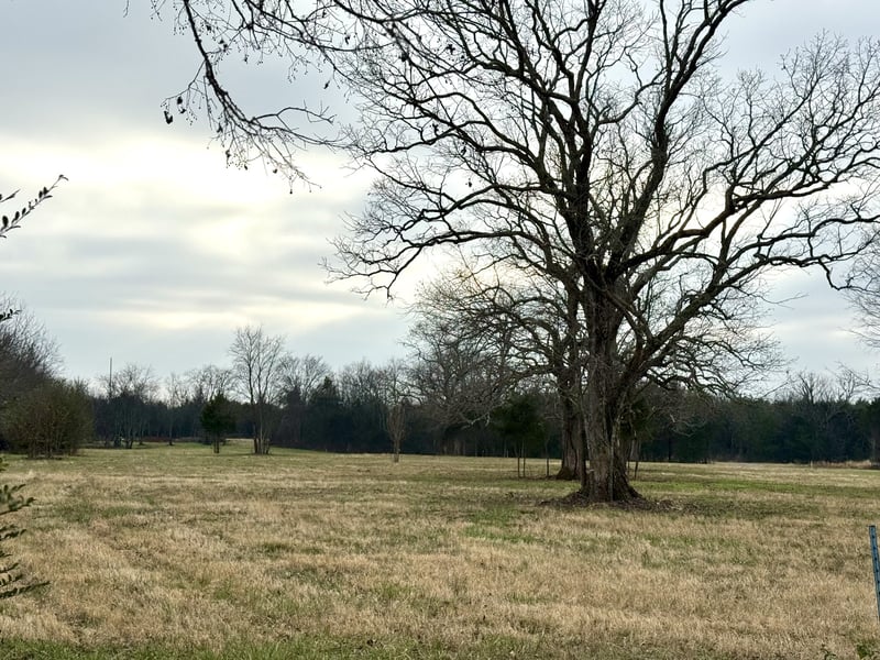 0 Vesta Rd Lot 11, Lebanon, TN 37090