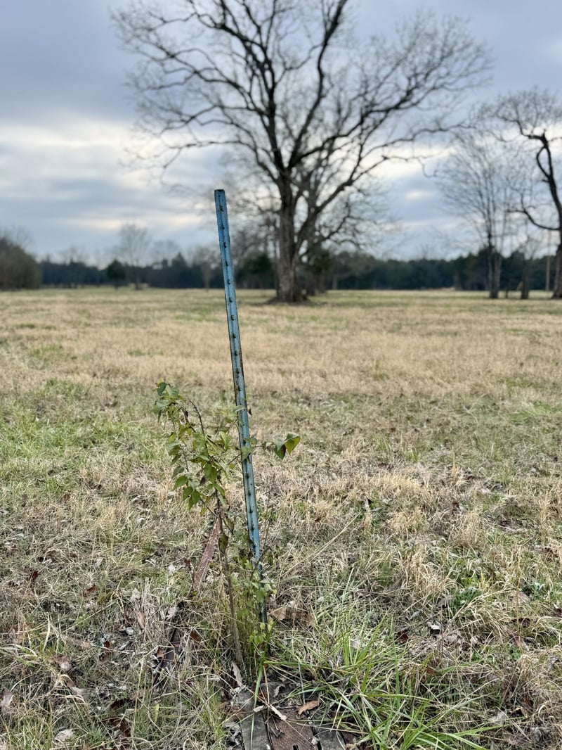 0 Vesta Rd Lot 11, Lebanon, TN 37090