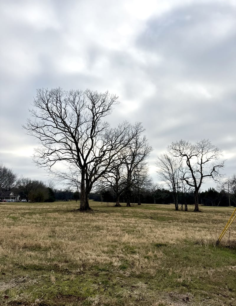 0 Vesta Rd Lot 11, Lebanon, TN 37090