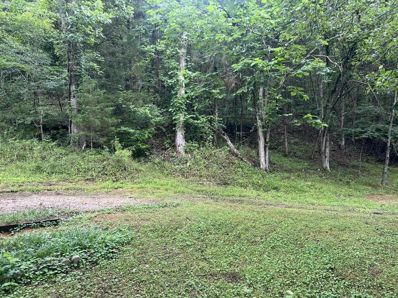 32 Patterson Ln, Pleasant Shade, TN 37145
