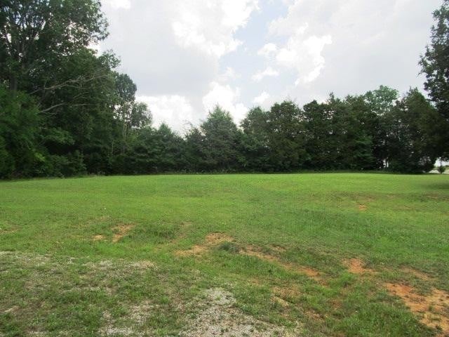2628 Bristow Rd, Columbia, TN 38401