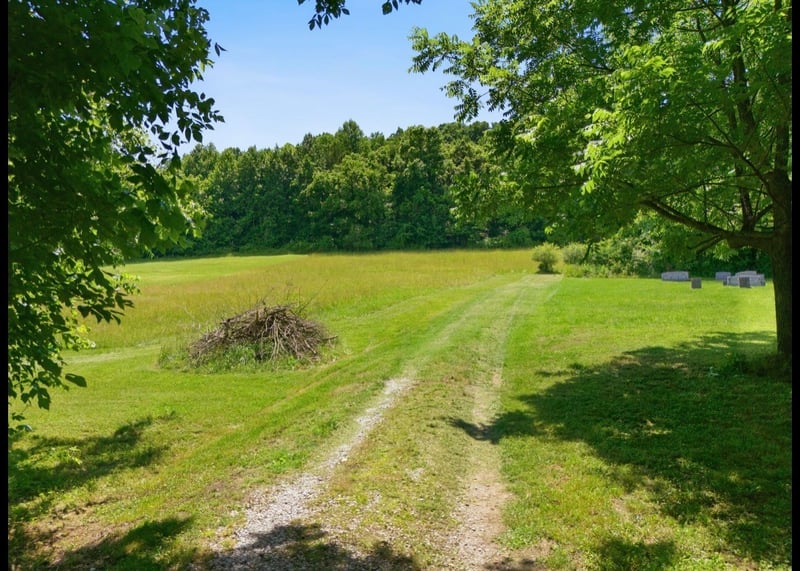 17 Dog Branch Rd, Pleasant Shade, TN 37145