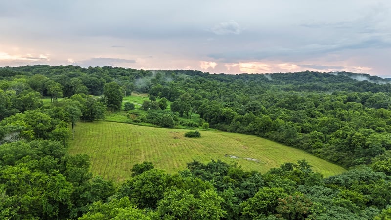 Stephens Rd, Columbia, TN 38401