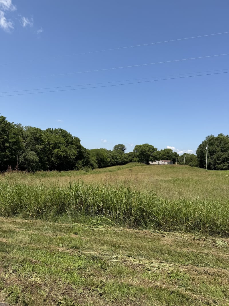 1211 Littleton Ranch Rd, Castalian Springs, TN 37031