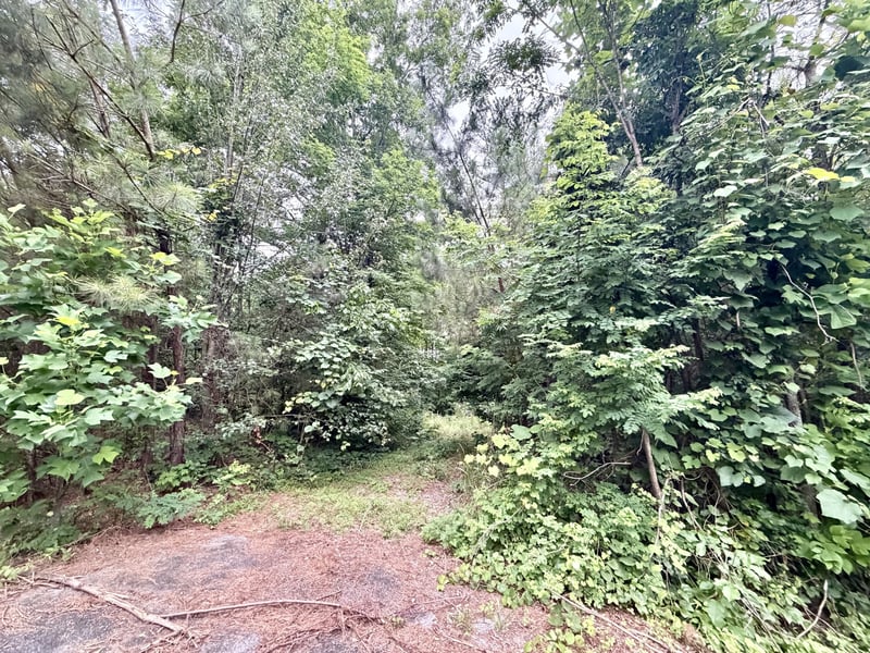 Cobbler Ridge Rd Lot 3, Franklin, TN 37064